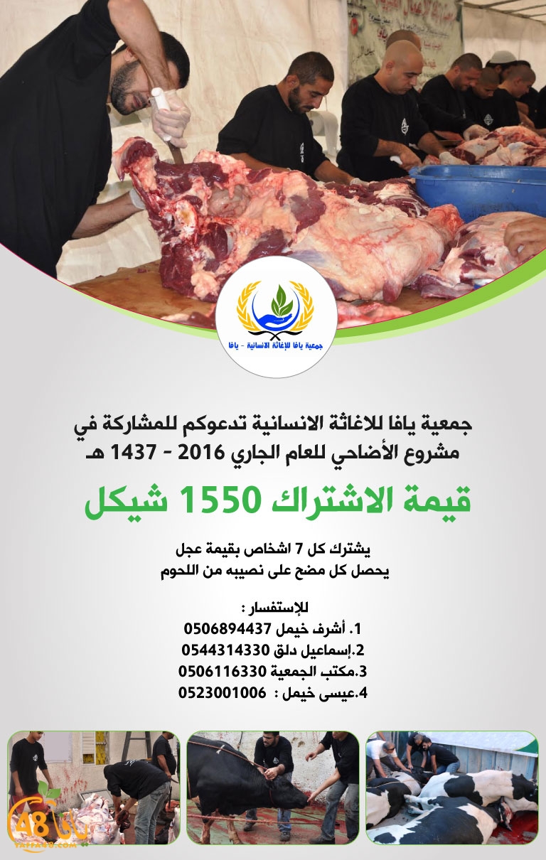 ada7auwqeqwy (3).jpg